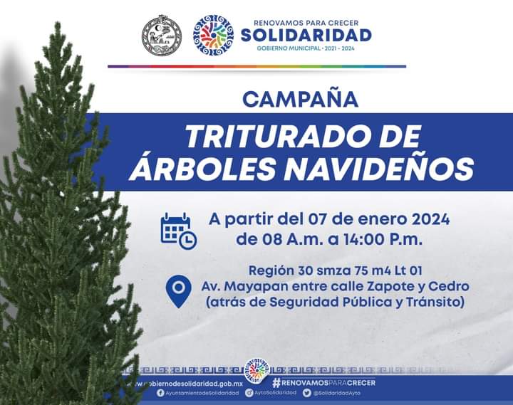 Invitan a participar en la campaña “Triturado de Árboles Navideños”