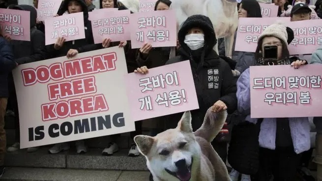 Corea del Sur prohíbe la venta de perros para el consumo de su carne