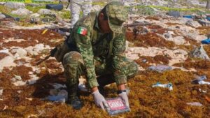 Ejército asegura droga en Cozumel