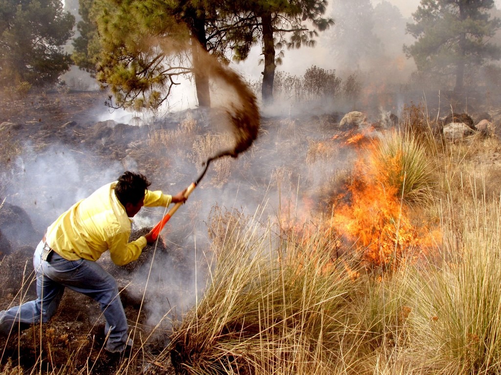 Incendios forestales afectan varios puntos del país