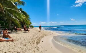 Descartan alta llegada de sargazo para los siguientes días en Playa del Carmen.