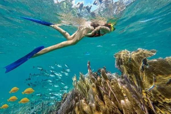 Arrecife de Puerto Morelos: la barrera submarina que debemos proteger.