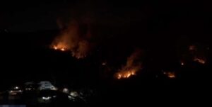 Incendios en Acapulco consumen hectáreas del Parque Nacional El Veladero