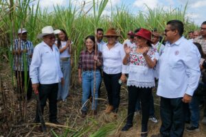 Con machetazo tradicional se oficializó zafra 2023-2024 en sur del estado