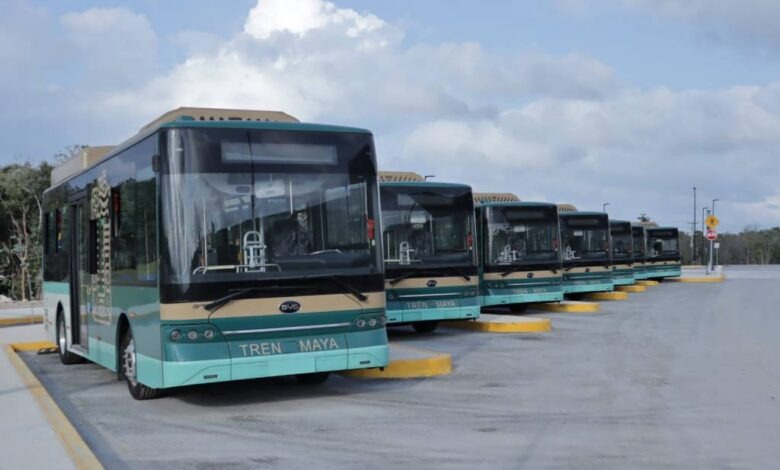 Llegan los nuevos autobuses de traslado al Tren Maya