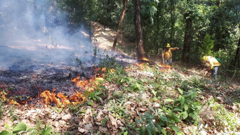 incendio_forestal_morelos_notimex.jpg_554688468