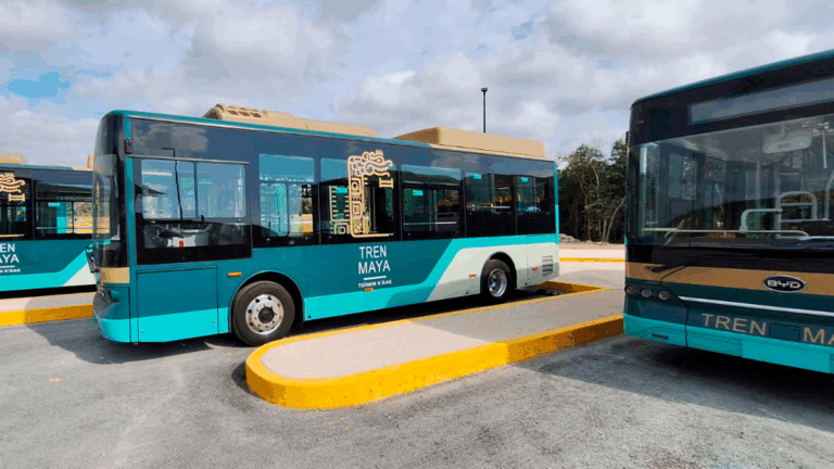 tren_maya_autobus_cortesia.png_554688468