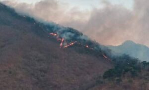 Quintana Roo envía brigadistas para apoyar combate a incendios en Oaxaca