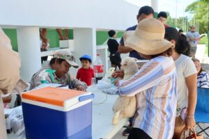 Éxito en la Campaña de Vacunación Antirrábica en Puerto Morelos