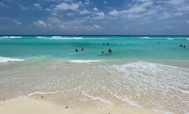 Las playas públicas de Cancún están libres de sargazo