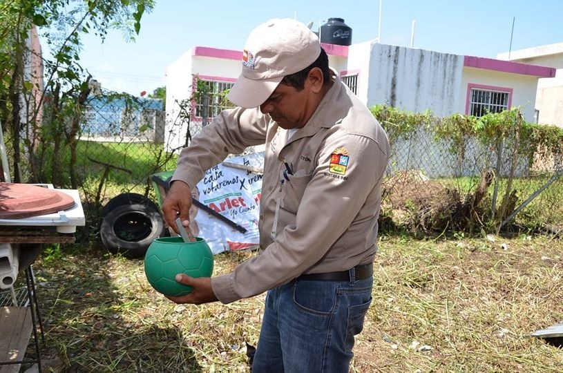 Anuncian contratación de más personal para combatir el dengue en Q.Roo