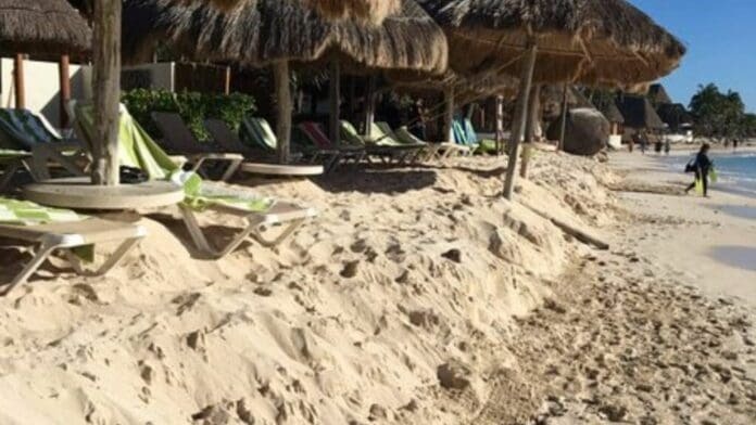 Algunas costas de Playa del Carmen han sido erosionadas por las mareas altas