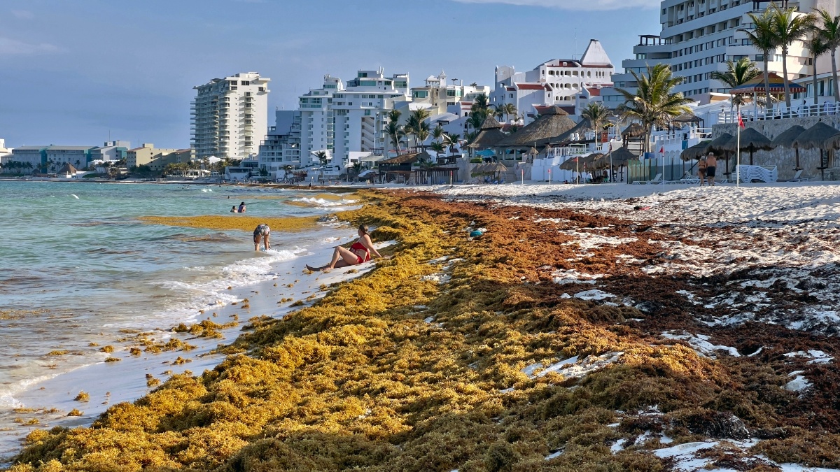 sargazo_cancun_afp.jpg_554688468