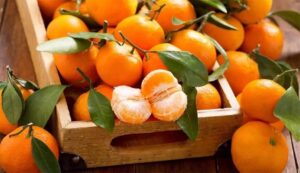 Veracruz, es el número uno en producción de mandarina en México