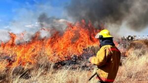 Ahora abundan incendios en la capital de Zacatecas