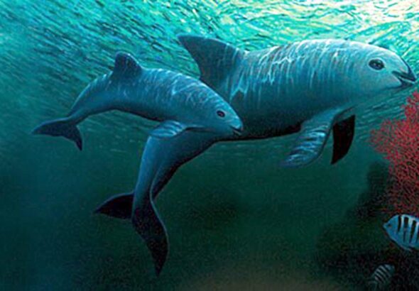 WhatsApp Image 2025-10-29 at 09.47.57