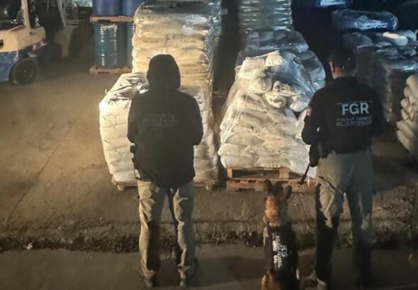 WhatsApp Image 2025-10-29 at 09.55.33