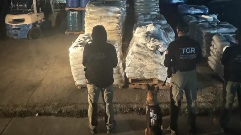 WhatsApp Image 2025-10-29 at 09.55.33