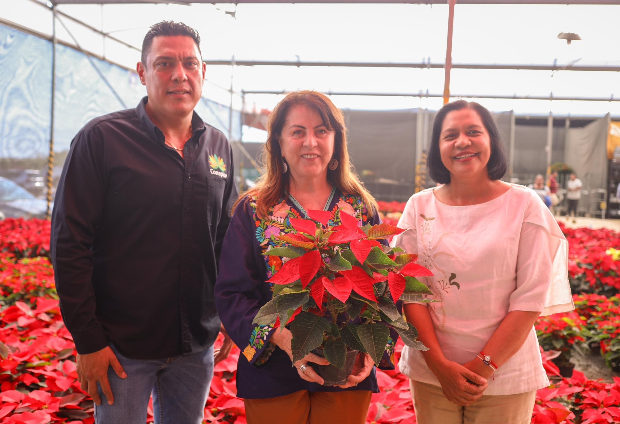 583488096_871118995569447_2228873842415573469_n