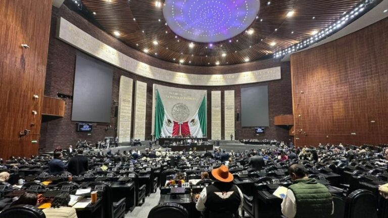 WhatsApp Image 2025-11-05 at 13.12.25