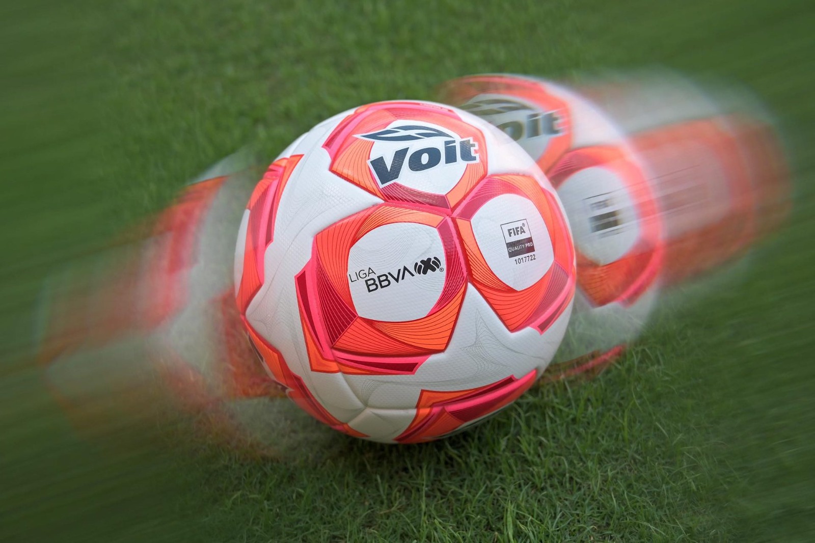 WhatsApp Image 2025-11-07 at 11.28.32