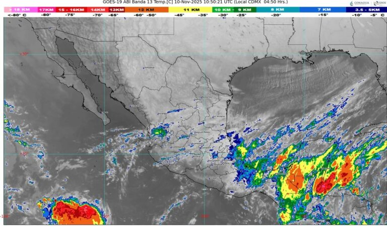 WhatsApp Image 2025-11-10 at 07.58.10