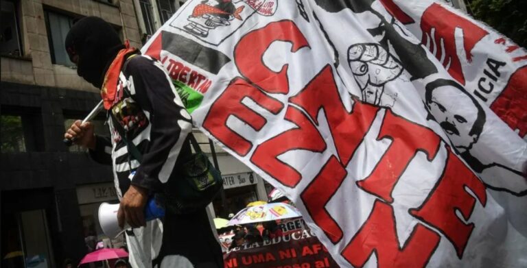 WhatsApp Image 2025-11-11 at 10.58.54