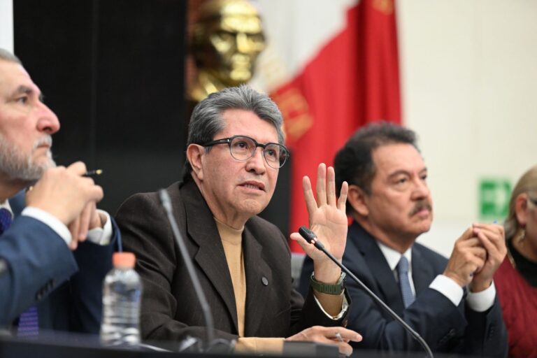 WhatsApp Image 2025-11-19 at 10.57.05