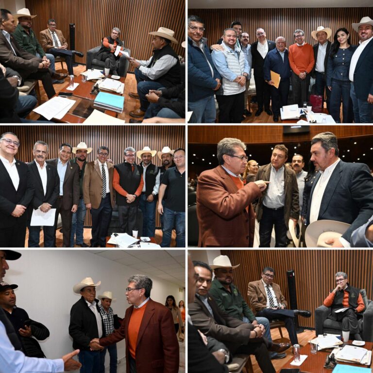 WhatsApp Image 2025-11-27 at 08.11.21