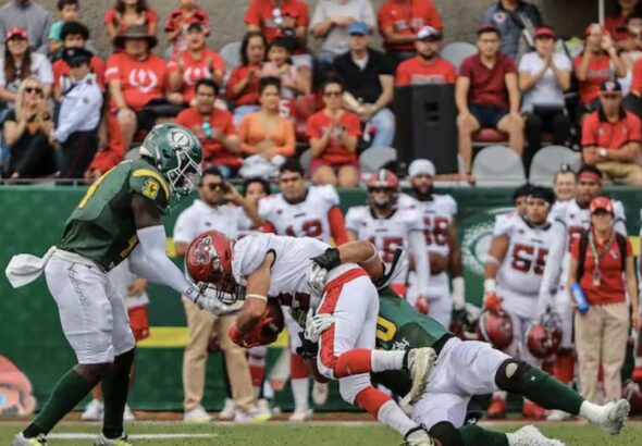 WhatsApp Image 2025-11-29 at 21.11.38