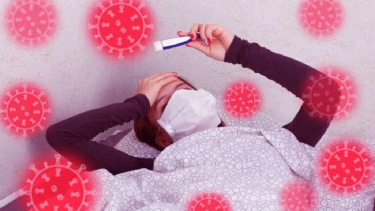 WhatsApp Image 2025-12-10 at 11.41.54