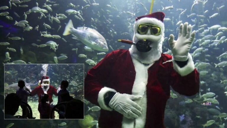 WhatsApp Image 2025-12-19 at 11.55.01