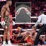 WhatsApp Image 2025-12-20 at 13.48.51