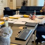 WhatsApp Image 2025-12-27 at 16.55.53