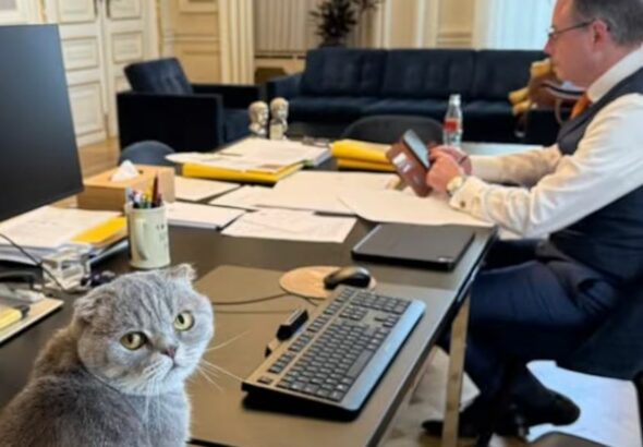 WhatsApp Image 2025-12-27 at 16.55.53