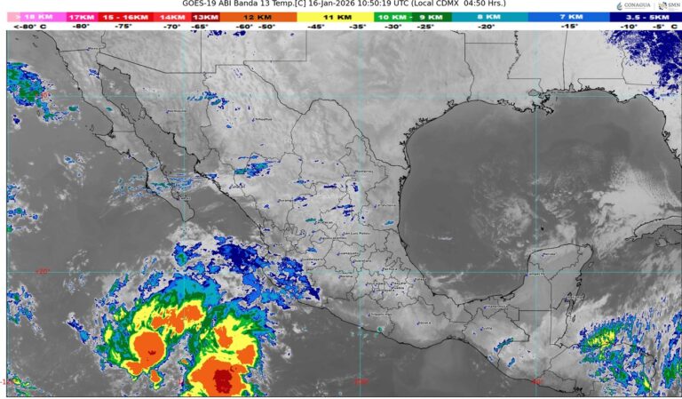 WhatsApp Image 2026-01-16 at 07.57.11