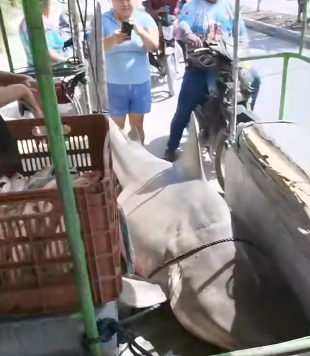 WhatsApp Image 2026-01-17 at 21.39.07