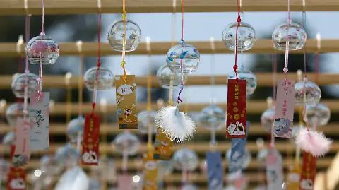 WhatsApp Image 2026-01-18 at 13.33.01