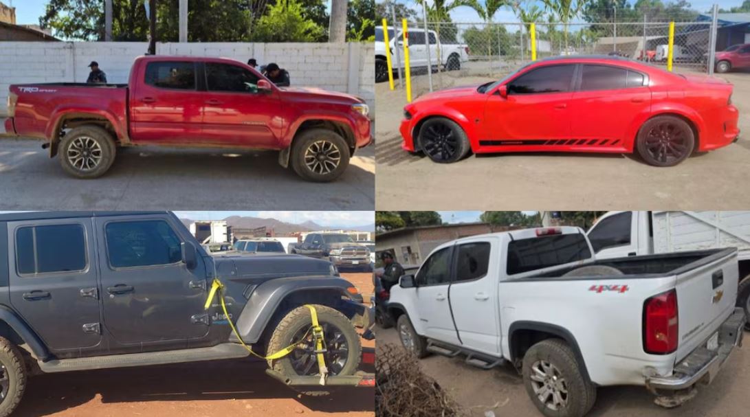 WhatsApp Image 2026-01-23 at 10.11.29