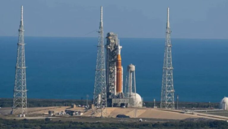 WhatsApp Image 2026-01-31 at 15.39.58