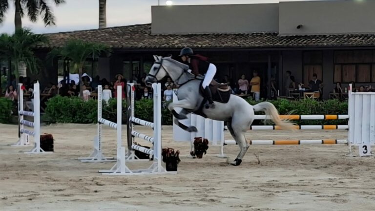 WhatsApp Image 2026-02-04 at 10.06.56