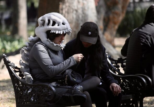 WhatsApp Image 2026-02-04 at 10.27.04