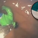 WhatsApp Image 2026-02-05 at 10.38.52