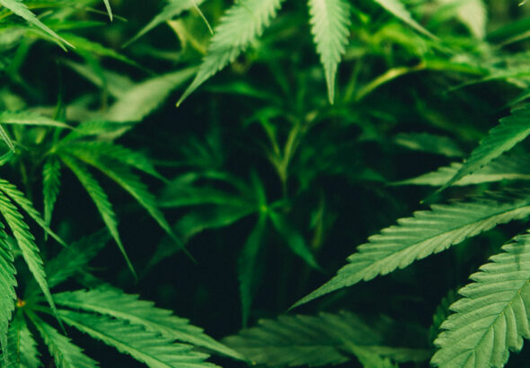 WhatsApp Image 2026-02-05 at 11.04.05