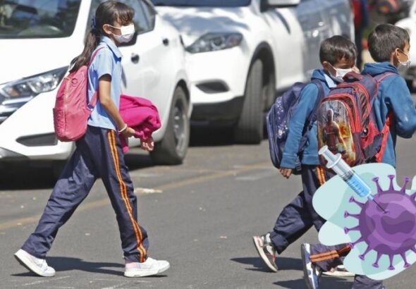 WhatsApp Image 2026-02-06 at 09.14.44