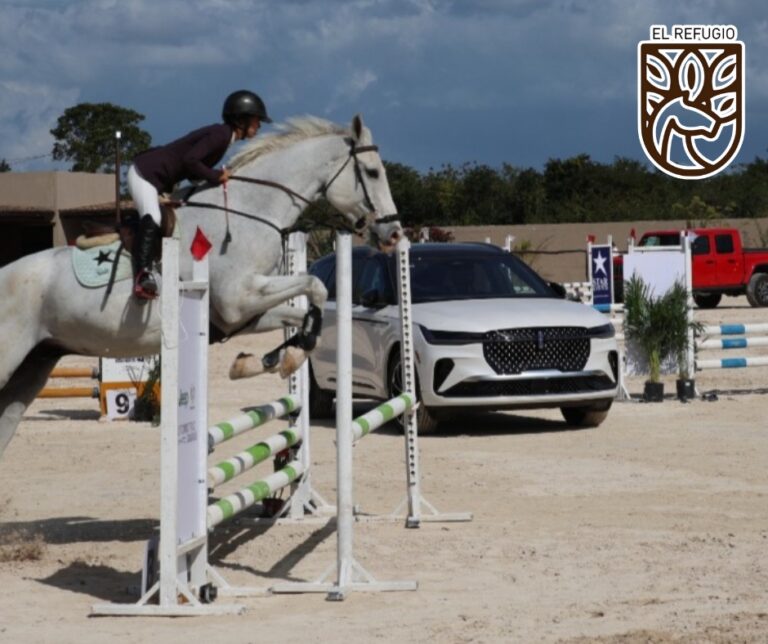 WhatsApp Image 2026-02-09 at 12.10.57