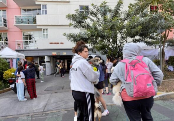 WhatsApp Image 2026-02-10 at 12.20.44