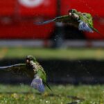 WhatsApp Image 2026-02-12 at 09.10.05