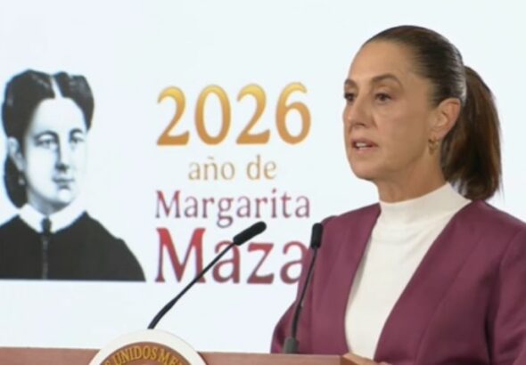 WhatsApp Image 2026-02-12 at 09.31.52