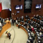 WhatsApp Image 2026-02-12 at 09.51.14